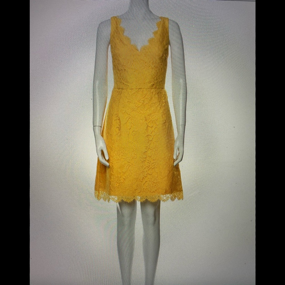 ML Monique Lhuillier Lace Pattern Mini Dress - New - Size S